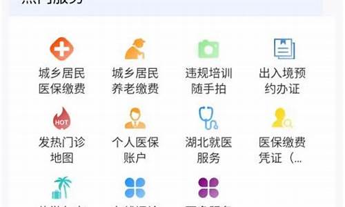 怎么在电脑系统交医保_电脑上交社保怎么操作