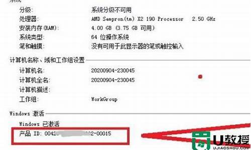 电脑系统ID号,电脑 id