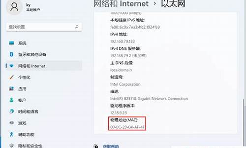 电脑系统的mac地址-电脑mac地址是什么样子