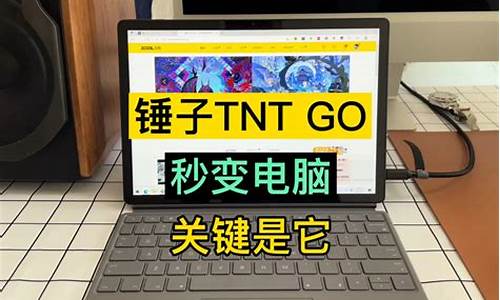 tnt go什么系统-tntgo安卓电脑系统